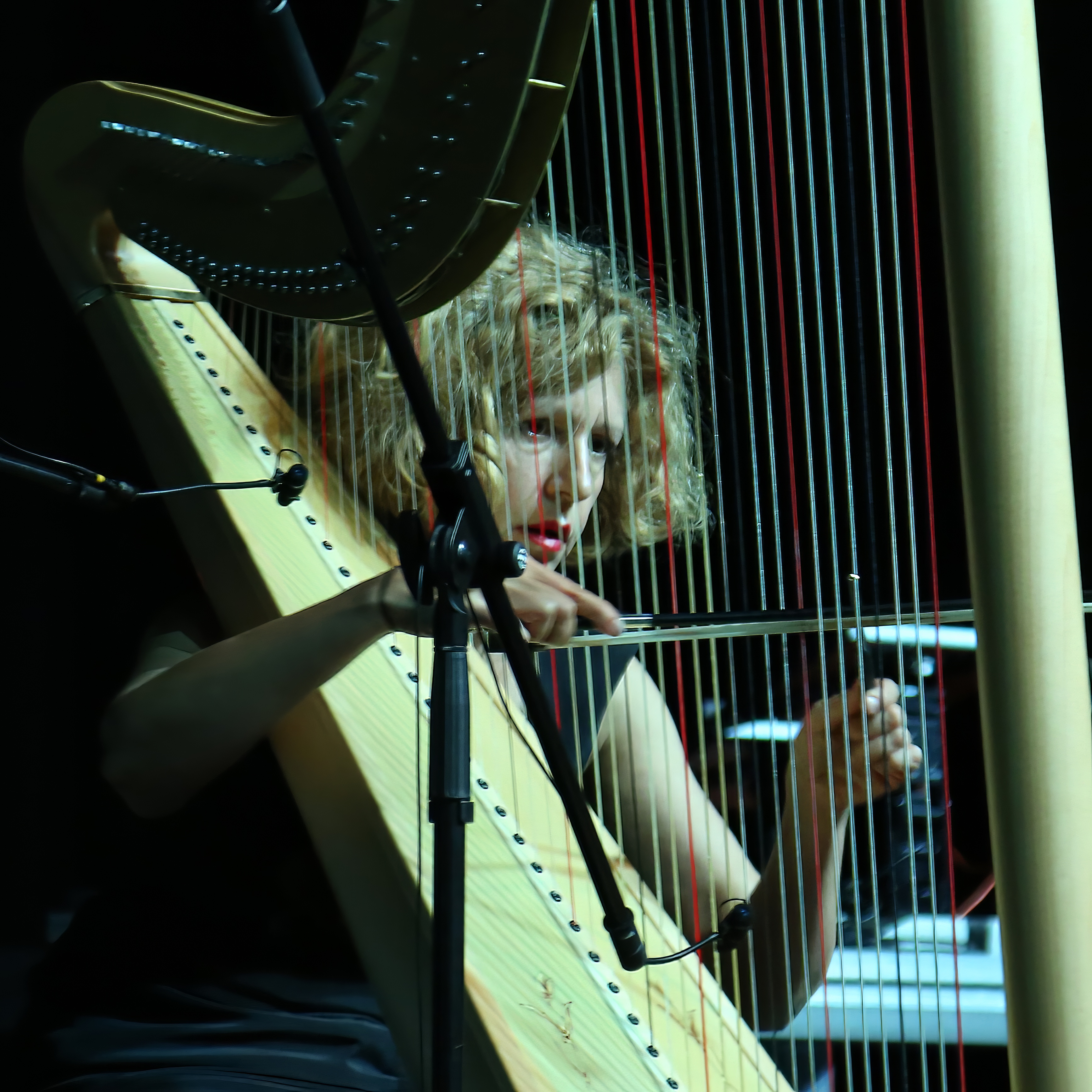 Photo of Milana Zarić playing a harp at the Alpenglow IX festival in Novi Sad